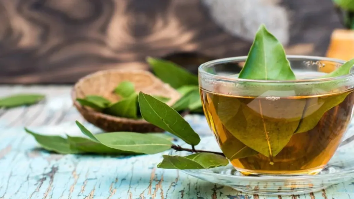 ¿Para qué sirve tomar té de laurel todos los días? Estos son los beneficios que dice la ciencia y cómo prepararlo bien