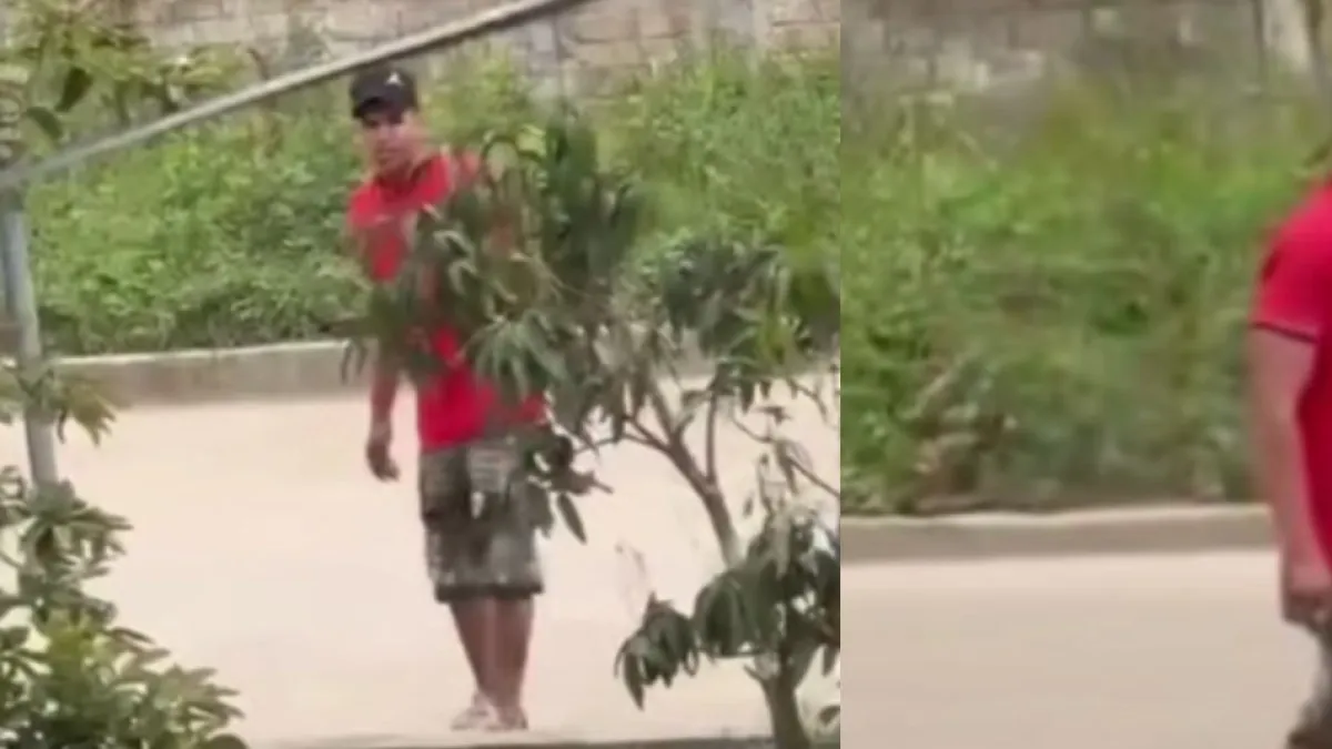 Indignación en Pitalito, Huila: buscan a hombre que quedó grabado cuando agredía a su pareja; la hija presenció el hecho