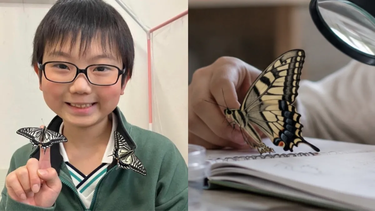 Jo Nagai, el niño japonés de 10 años que sorprendió a la comunidad científica con un estudio sobre la memoria de las mariposas