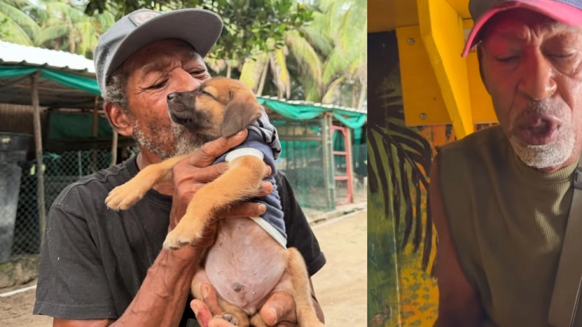 Entre lágrimas, miembro de fundación de animales rescatados en San Andrés Islas denuncia que fueron víctimas de robo: ‘Nos dejaron sin nada’