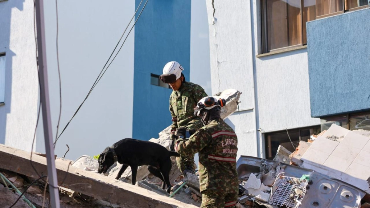 Urko, Nala2, Polo4, Perla4, Júpiter y Urbi: los seis caninos que buscan entre los escombros del terremoto