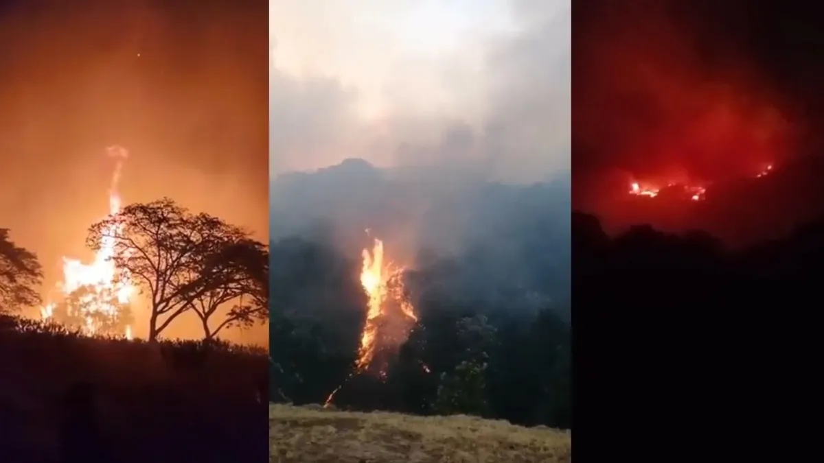 Emergencia por incendios en Tolima: hay 39 activos en 18 municipios y más de 2.000 hectáreas afectadas en San Luis; 'Se nos están quemando las casas'