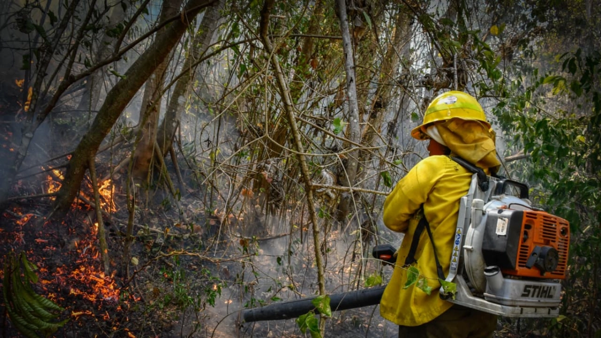 Gobernación del Tolima y Cortolima convocan a donar ayuda humanitaria para afectados por graves incendios en Melgar, San Luis, Payandé, Honda y Guamo