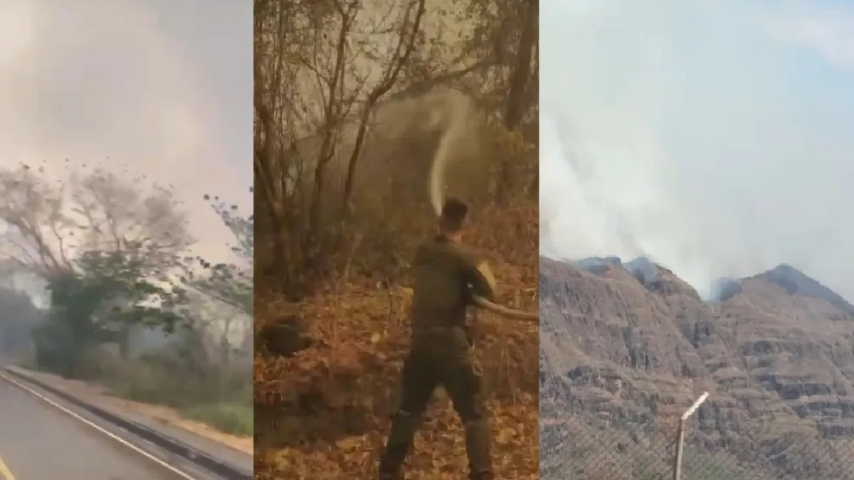 Grave incendio forestal se presenta en Tolima con riesgo de expandirse a la Escuela Internacional de Entrenamiento de la Policía y viviendas