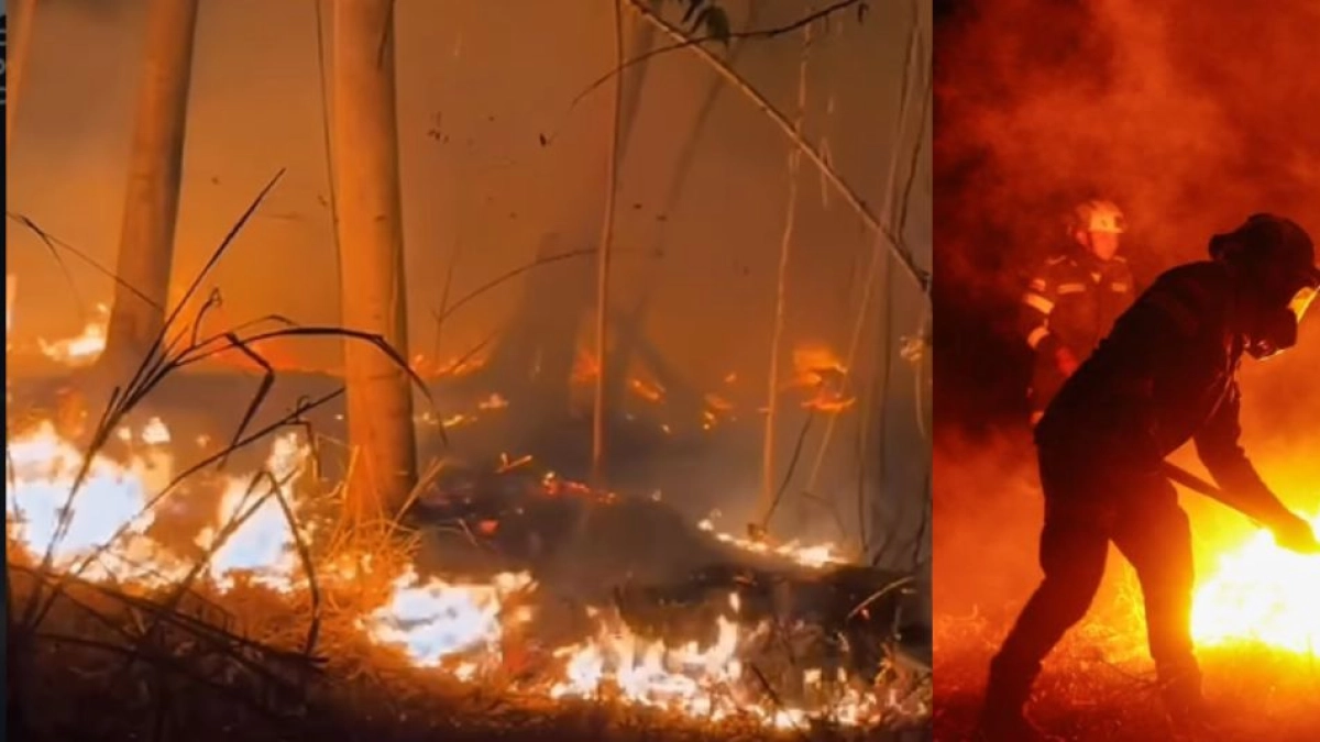 El angustiante llamado de un campesino en Tolima tras voraz incendio: 'La vaina está complicada'