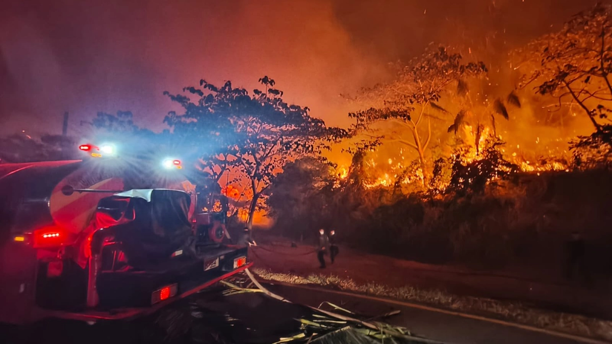'Necesitamos apoyo helicoportado': alcalde de Armero Guayabal alerta sobre la propagación de incendios forestales en este municipio del Tolima