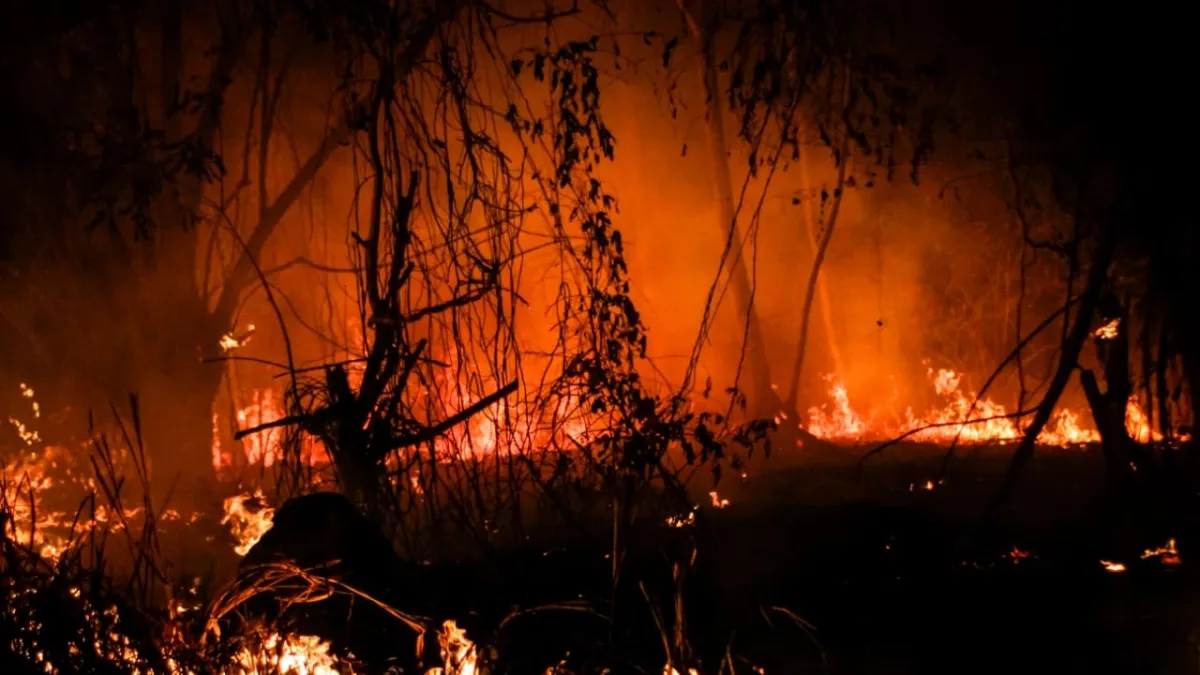 Incendios forestales en Colombia hoy 23 de agosto: organismos de socorro controlan conflagración en El Tablazo, Popayán, y evitan daños a viviendas