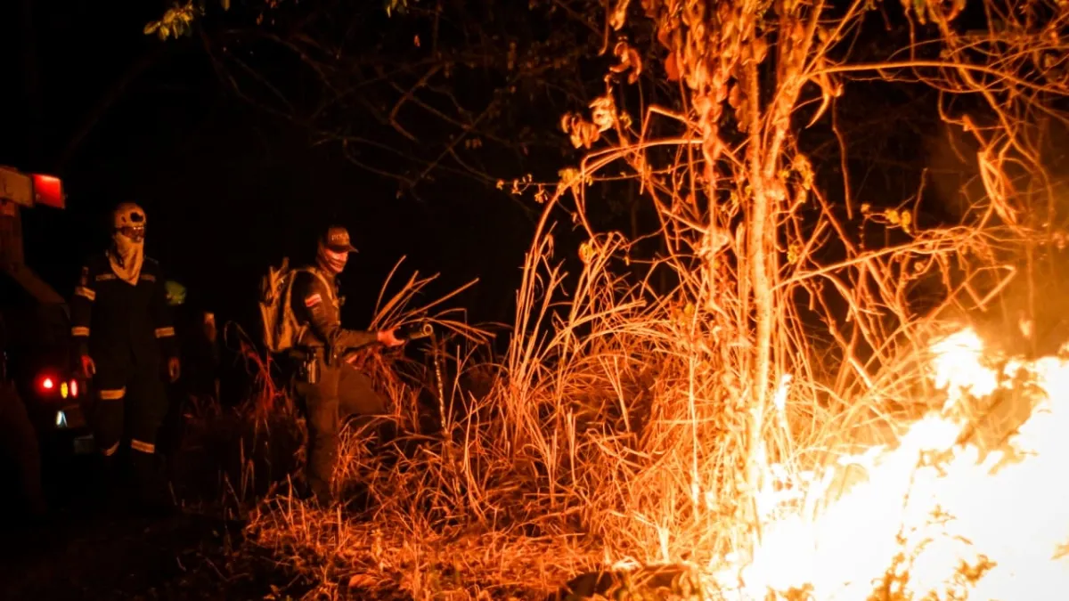 Gobernación del Tolima hace un llamado urgente para apagar los graves incendios que se presentan en varias zonas del departamento: hay 24 incendios