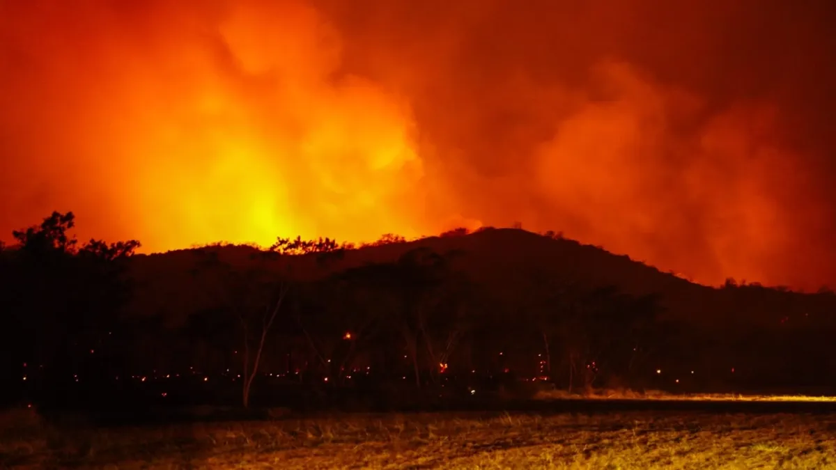 Incendios forestales en Colombia hoy sábado 22 de agosto: últimas noticias, balance de la emergencia y nuevos puntos activos en el país