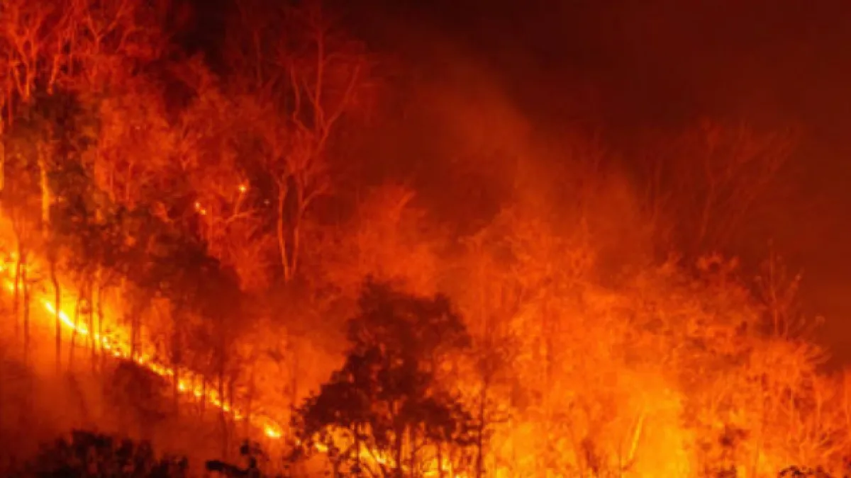 Manos criminales detrás de los incendios forestales: 'se mezclan con los bomberos como falsos voluntarios para generar más fuego', Lara