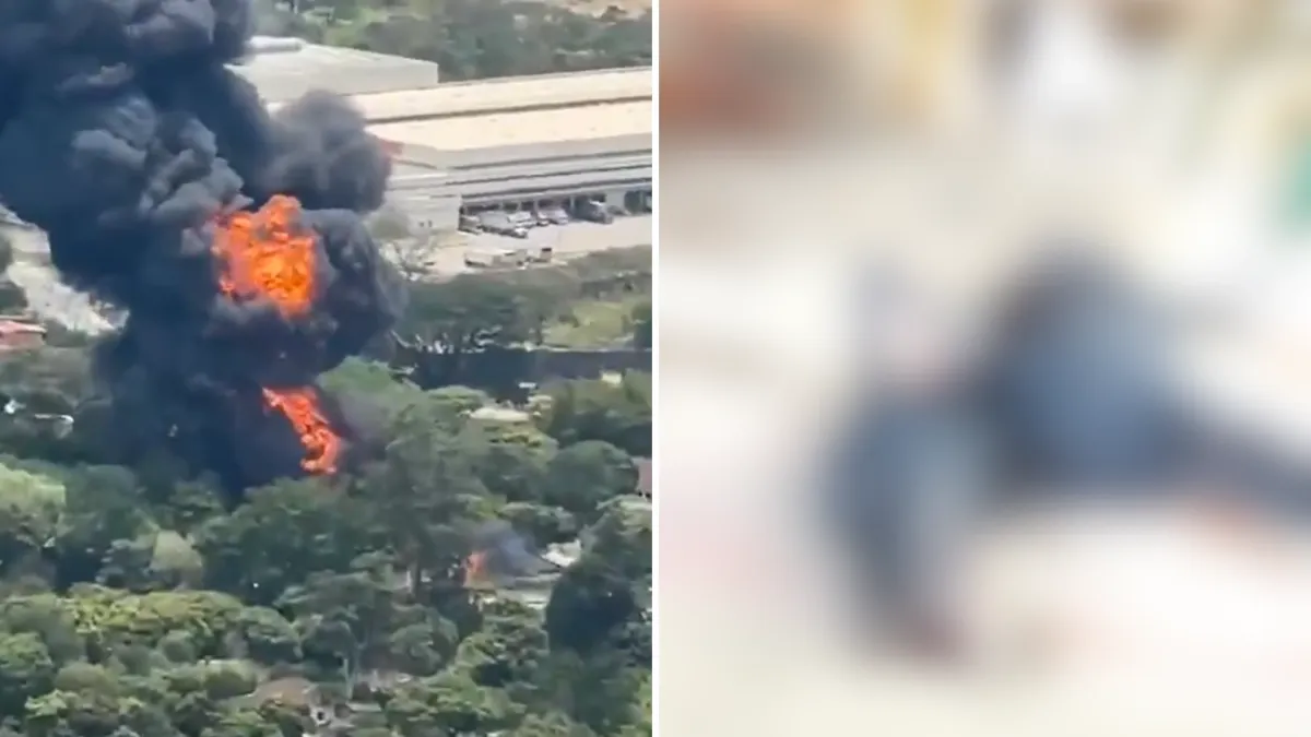 El macabro hallazgo que hicieron las autoridades de Girardota en el refugio de animales afectado por un voraz incendio estructural