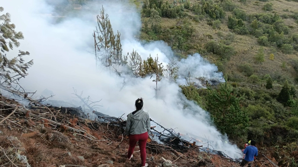 Alerta por incendios forestales en Colombia: 18 siguen activos y Tolima concentra casi la mitad, según la UNGRD