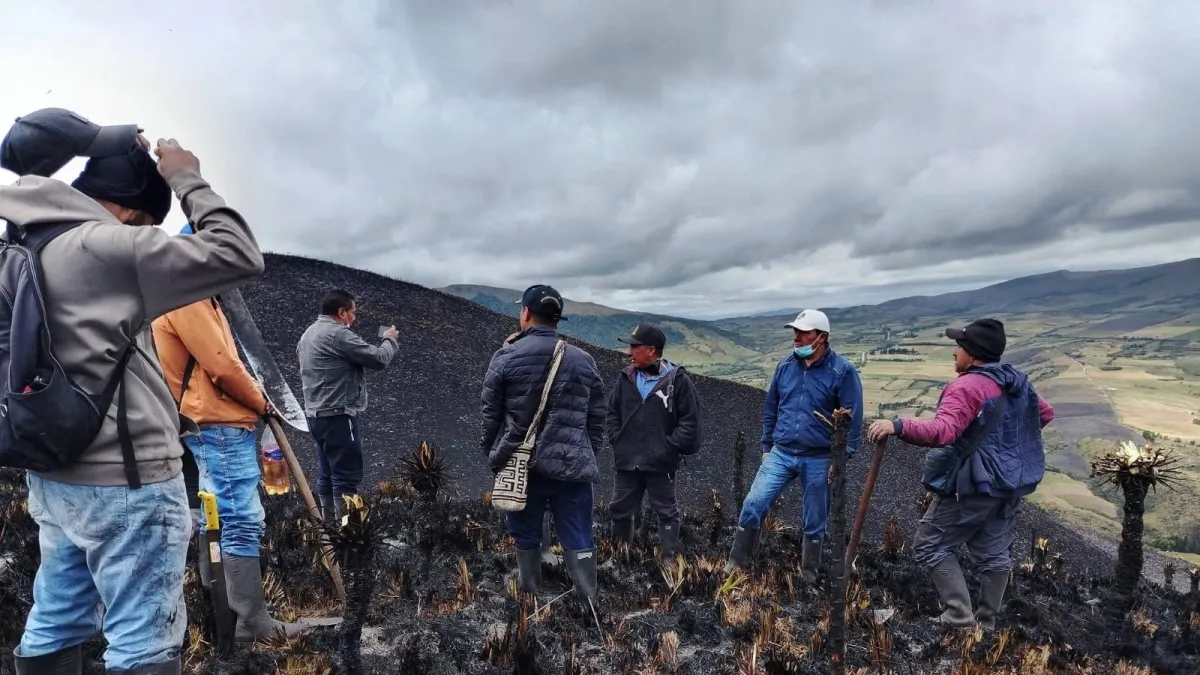 Cerca de 60 hectáreas de un páramo en Nariño quedaron reducidas a cenizas por un voraz incendio: ‘La comunidad no tolera más esta clase de hechos’