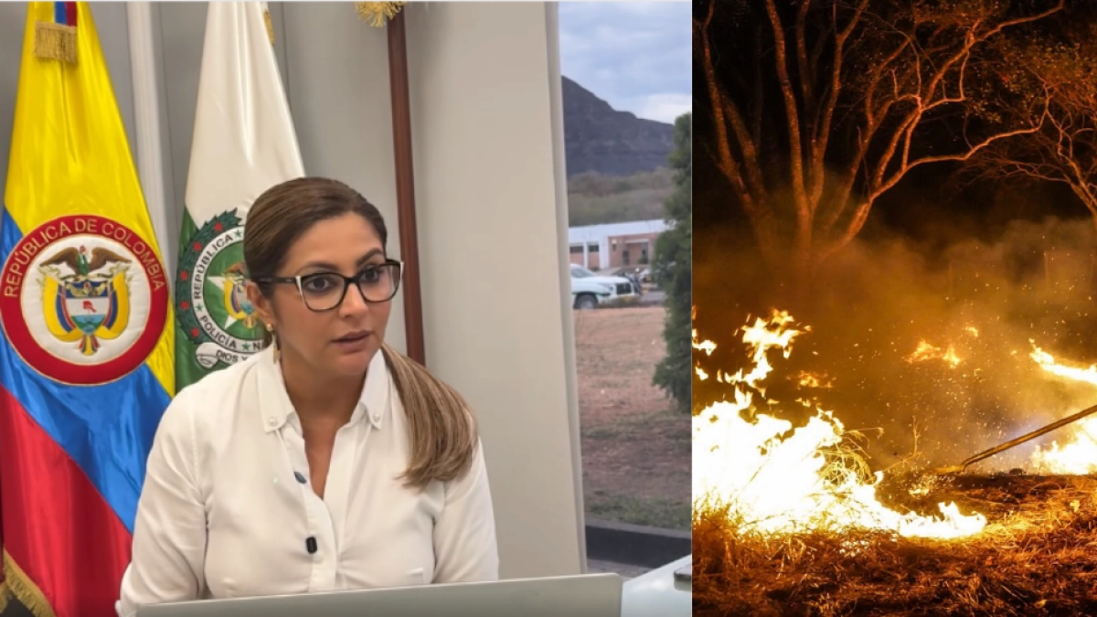 Gobernadora del Tolima, Adriana Matiz, denunció amenazas contra brigadistas del Ejército que combatían incendio en el municipio de Suárez