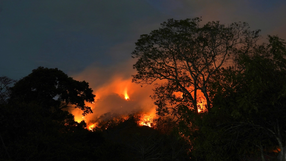 Los incendios forestales mantienen bajo alerta a por lo menos 5 regiones