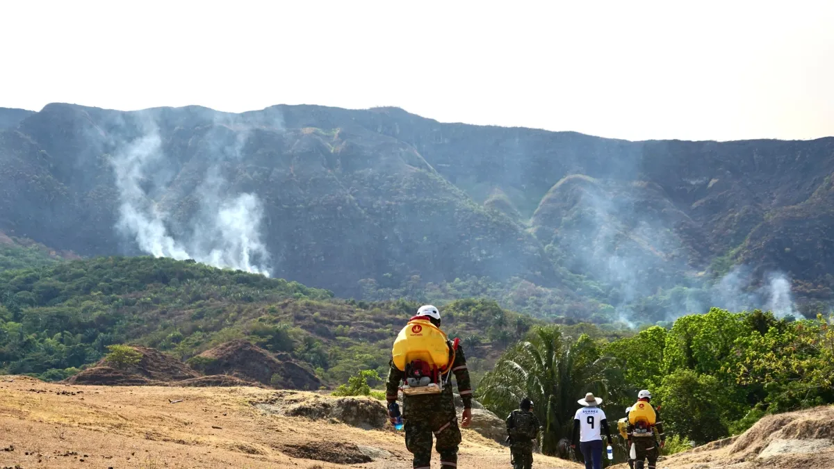 Incendios en Colombia hoy sábado 29 de agosto: últimas noticias, balance de la emergencia y nuevos focos en el país