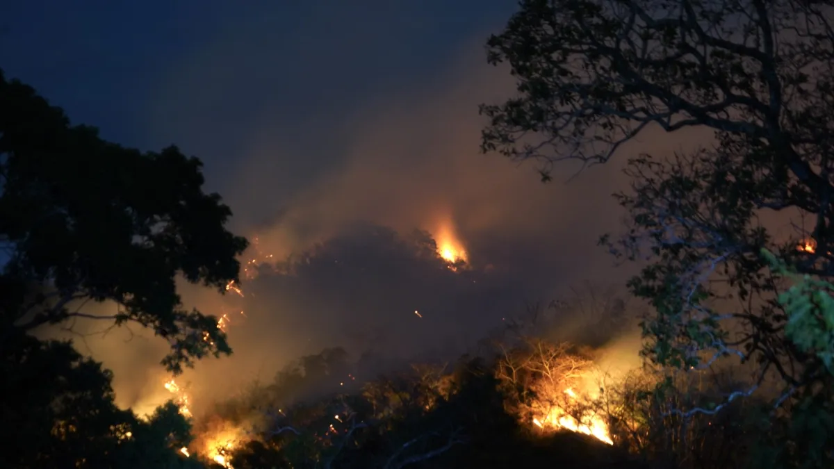 Tolima y Valle luchan contra 10 incendios activos: en Armero el fuego impacta en las veredas Maracaibo, Netú, Playón, Los Trinchos y Santuario