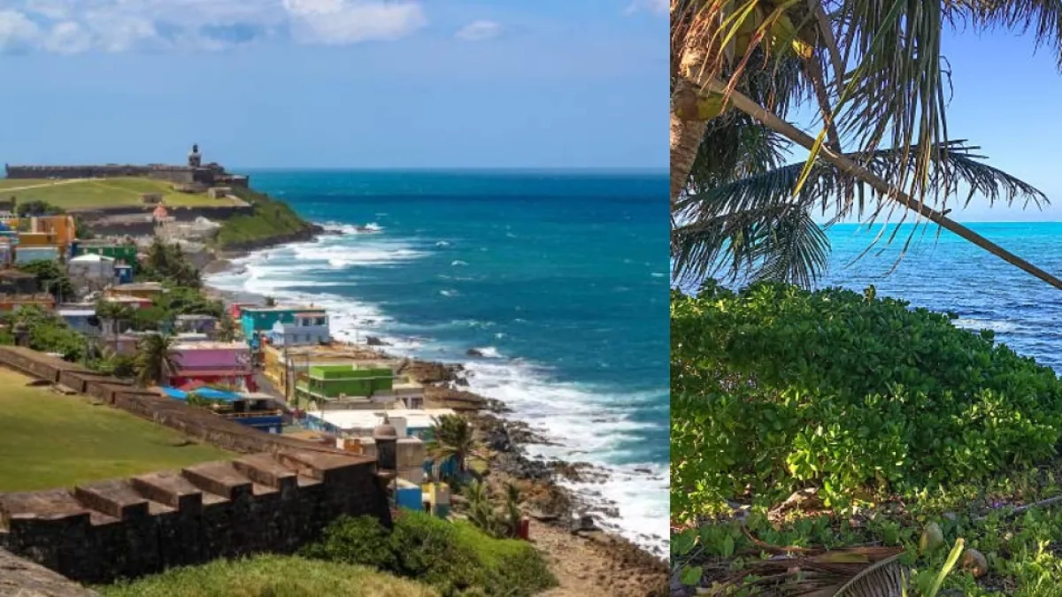 Buscan personas que quieran trabajar solo 20 horas a la semana, tener alojamiento y comida en una isla del Caribe: estos son los requisitos