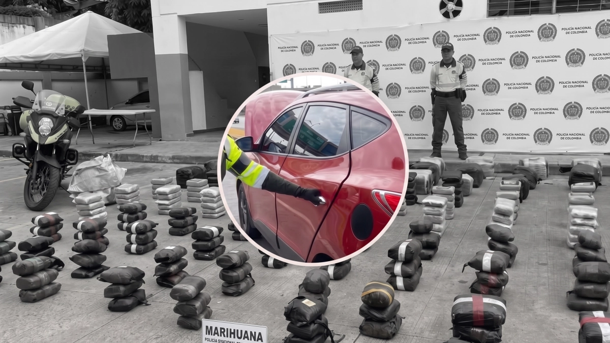 Tragedia y persecución en el Valle del Cauca: el costo humano y millonario del tráfico de 1,3 toneladas de marihuana