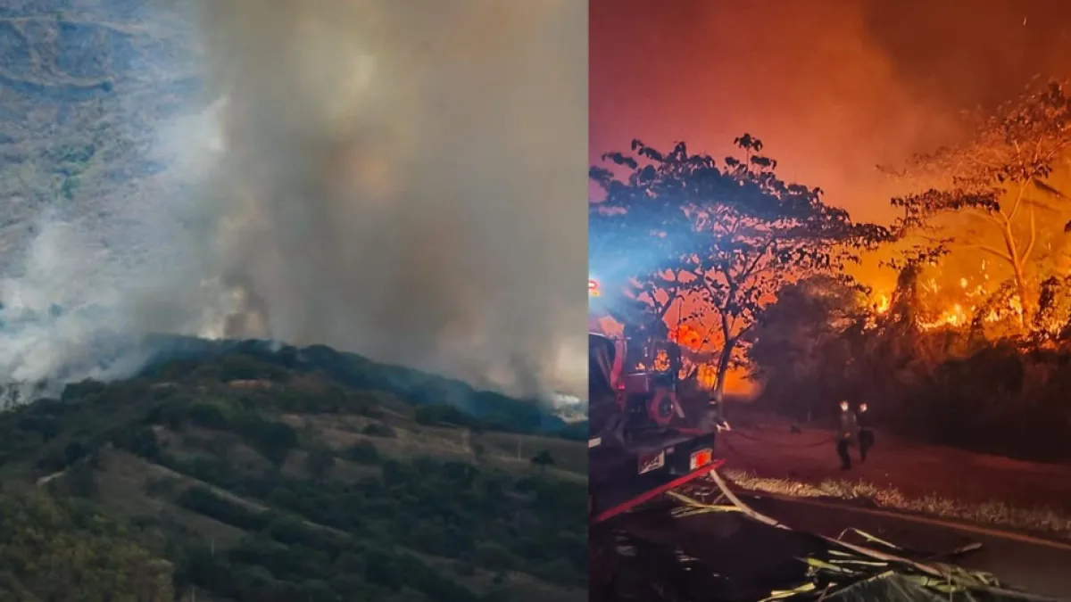 Incendio arrasó finca ganadera en Armero: 242 reses quedaron sin agua ni alimento tras perder hasta el 70 % del predio