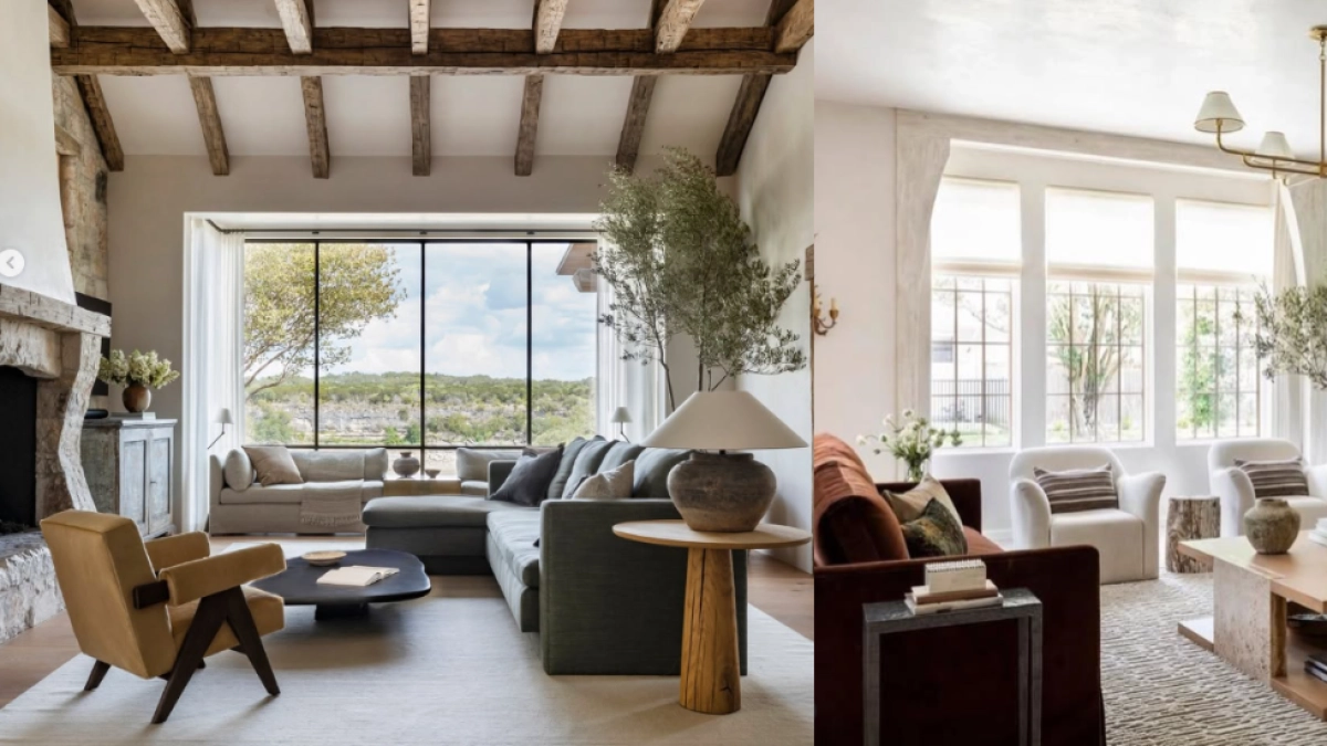 La planta que debe utilizar en su hogar para demostrar un estilo más elegante y lujoso, según expertos en decoración