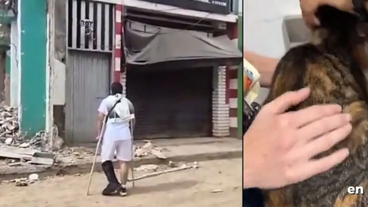 Tras 25 días del terremoto de 7,4 en Pereira, joven seguía buscando a su gatita entre los escombros: 'La adoro; para mí, lo es todo'