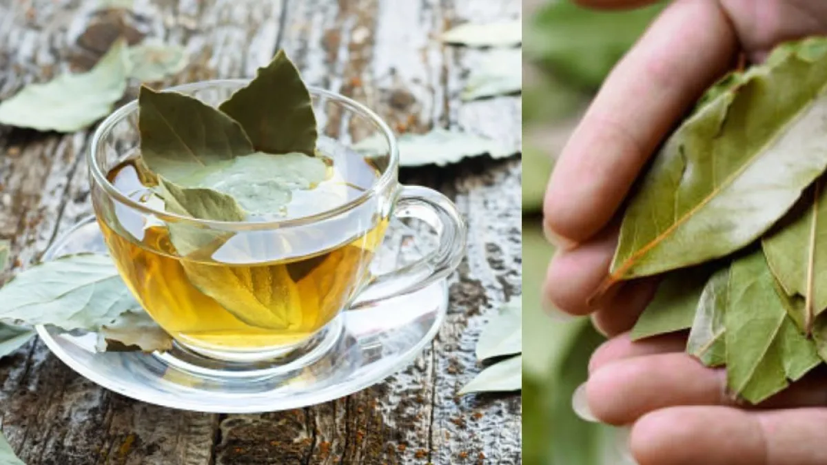 Hoja de laurel en un vaso con agua: ¿para qué sirve, qué significa y dónde colocarla en casa?