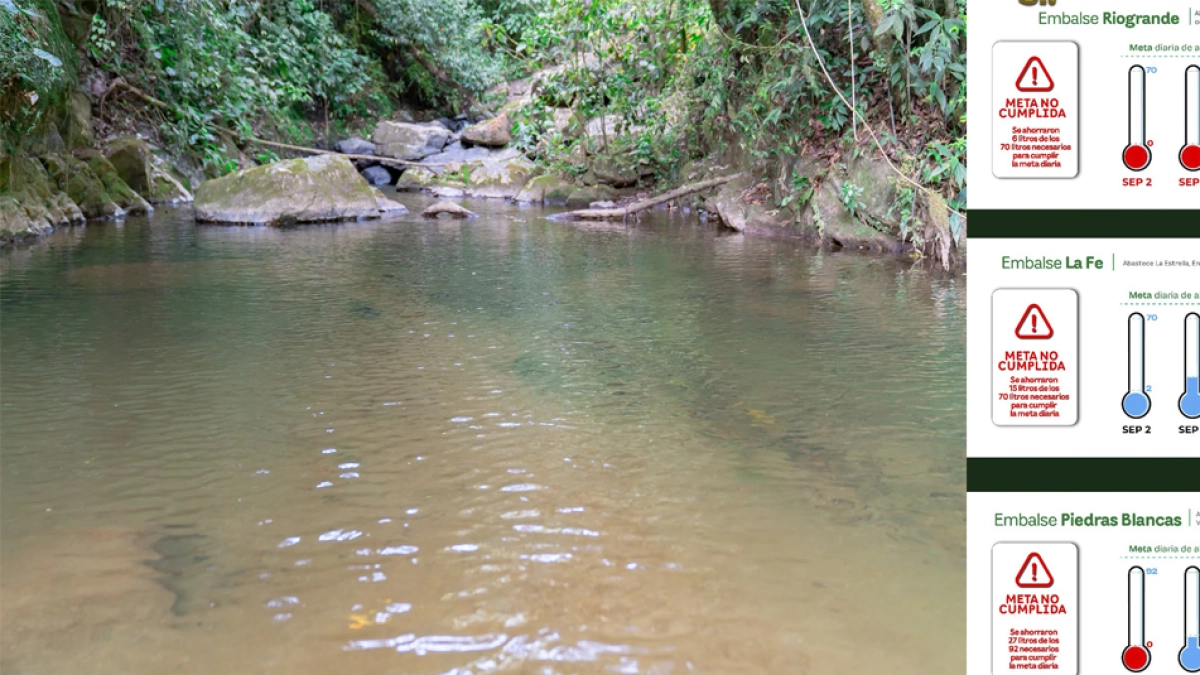 La respuesta de Medellín al fenómeno de El Niño: sube el ahorro de agua, pero aún está lejos de la meta fijada para evitar nuevos cortes