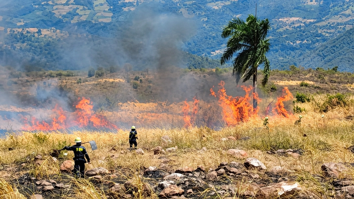 Colombia registra este 7 de septiembre 21 incendios forestales activos en seis departamentos: autoridades trabajan para contener focos