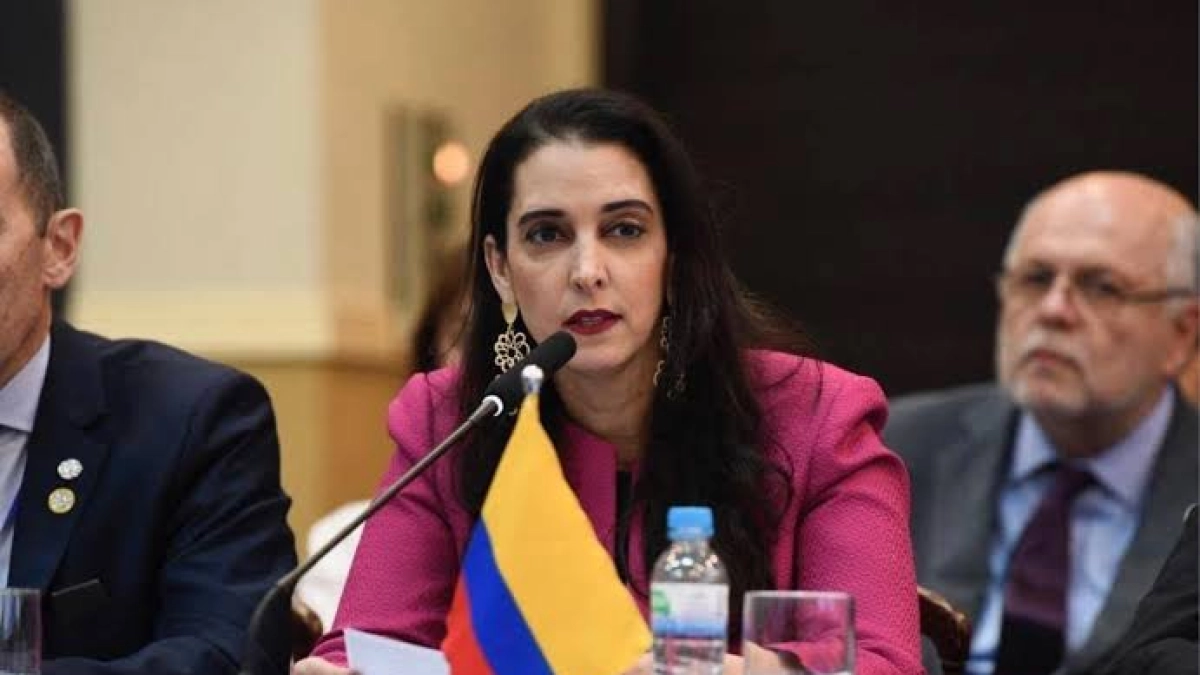Exembajadora en Paraguay Adela María Maestre será la vicecanciller de Colombia
