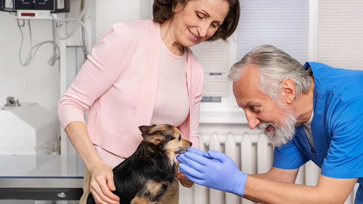 José Luis Puchol, veterinario de 72 años: 'antes comprábamos tres perros con lo que hoy pagamos por salvar uno'