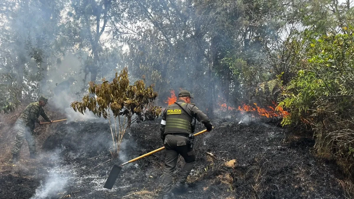 Trabajo articulado logró apagar un voraz incendio forestal de más de 5 hectáreas en Guatapé, Antioquia