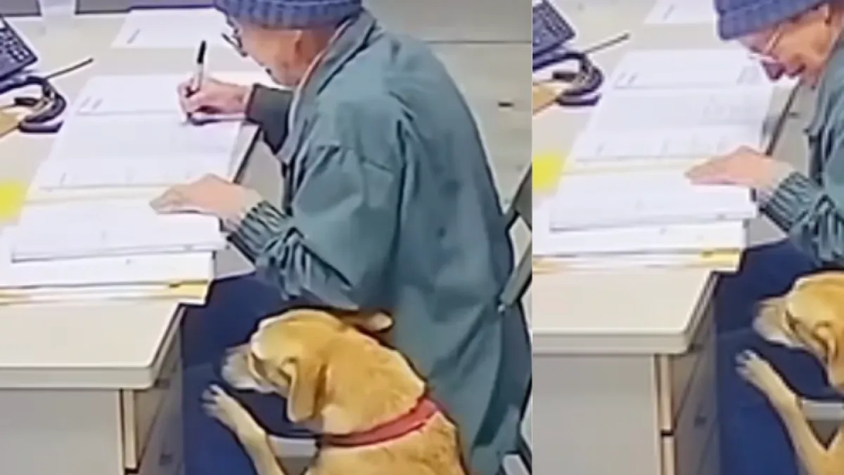 Mujer de 76 años tuvo que despedirse de su perro tras 8 años juntos y la escena rompió corazones