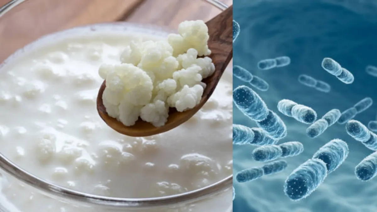 Seis alimentos fermentados que pueden beneficiar la microbiota intestinal y mejorar la digestión