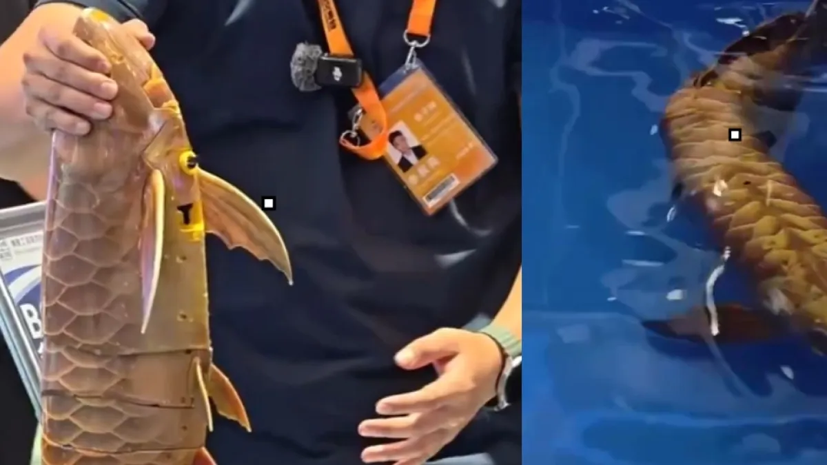 Parece un pez real, pero es un robot: China sorprende con esta creación