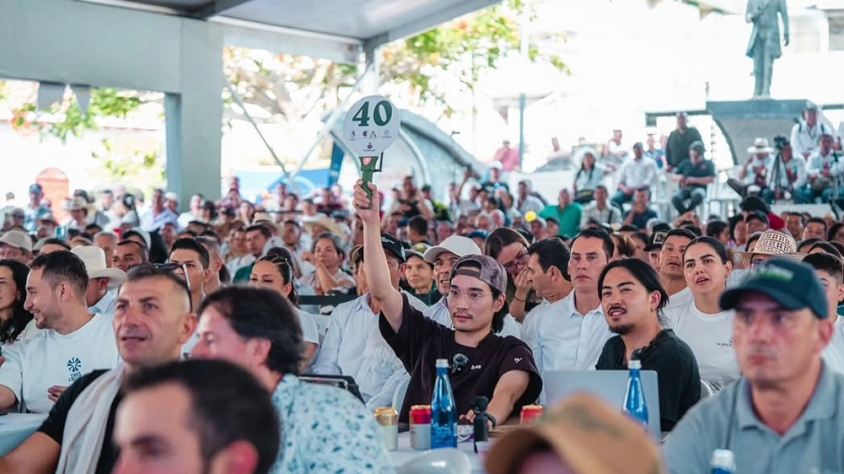 Tolima apuesta por vender café a mayor precio mientras el cacao colombiano busca ganar valor en mercados internacionales