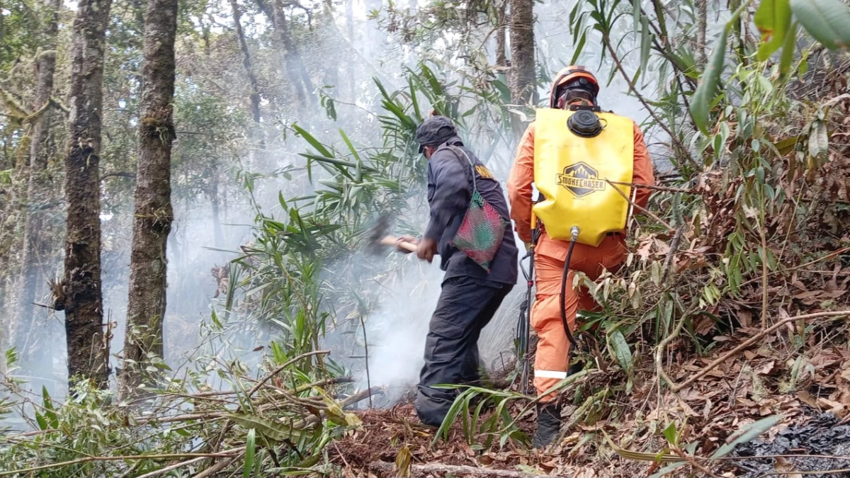 Alerta en San Andrés por incendio que no se apaga desde hace 20 días: piden ayuda del Gobierno para poder ingresar e intervenir de manera aérea