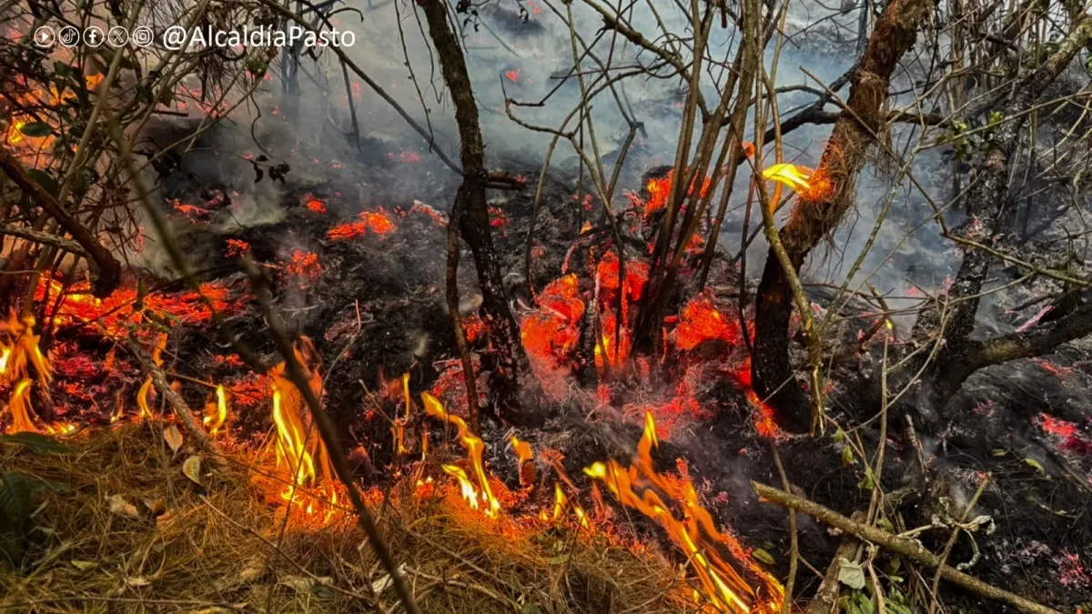 'Hay veces que tenemos diez a la vez': la agotadora batalla de los socorristas que ya combatieron 287 incendios forestales en Nariño