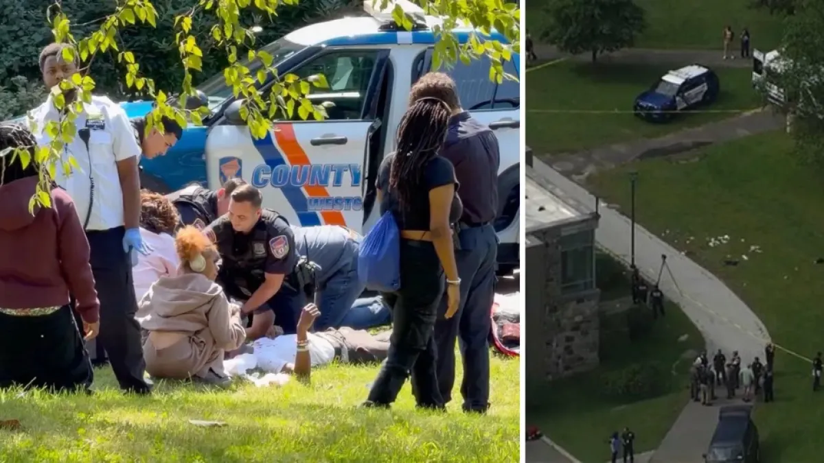 Dos personas fueron apuñaladas en el Colegio Comunitario de Westchester, Estados Unidos: los otros dos sospechosos terminaron detenidos