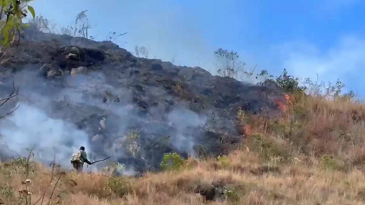 Más de 500 hectáreas afectadas: incendio forestal mantiene en emergencia al Macizo Colombiano