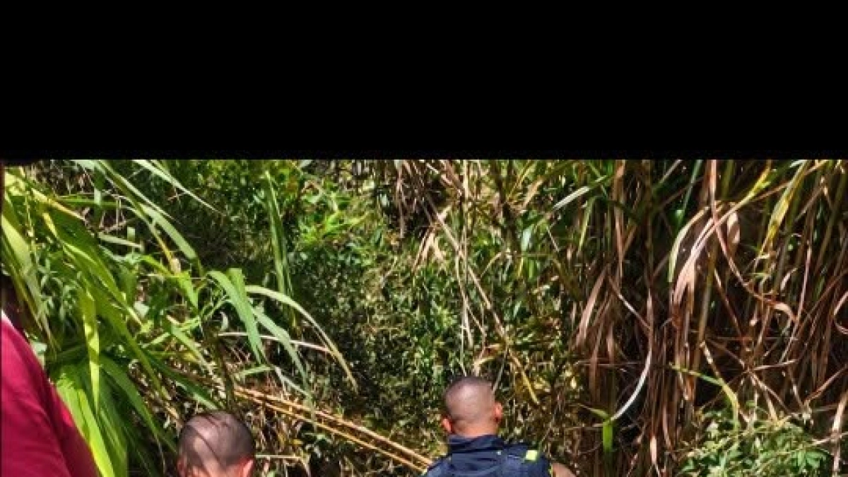 Tragedia en Antioquia: fatal accidente en parapente terminó con la muerte de un turista israelí en Bello