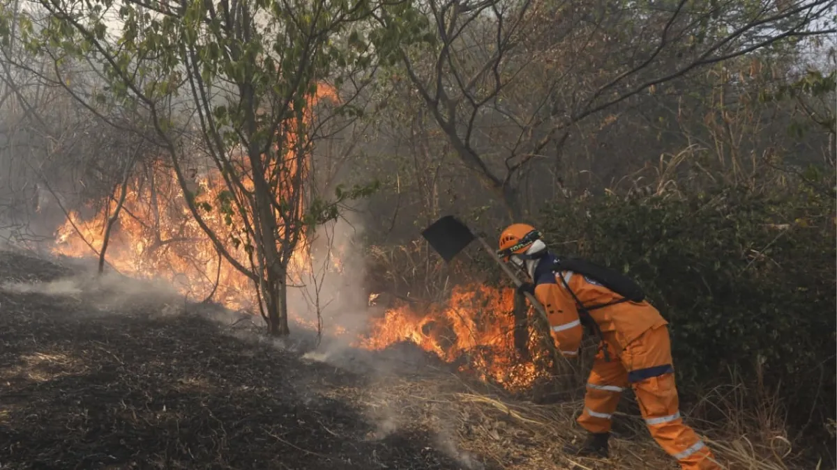 Emergencia por incendio en montañas de Cali: cinco casas arrasadas, una adulta mayor afectada y dos bomberos con lesiones