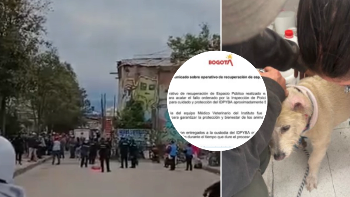 Denuncian desalojo de un refugio de perros y gatos en la localidad de Fontibón, en Bogotá: el IDPYBA aseguró que ‘garantizarán su bienestar y cuidado’