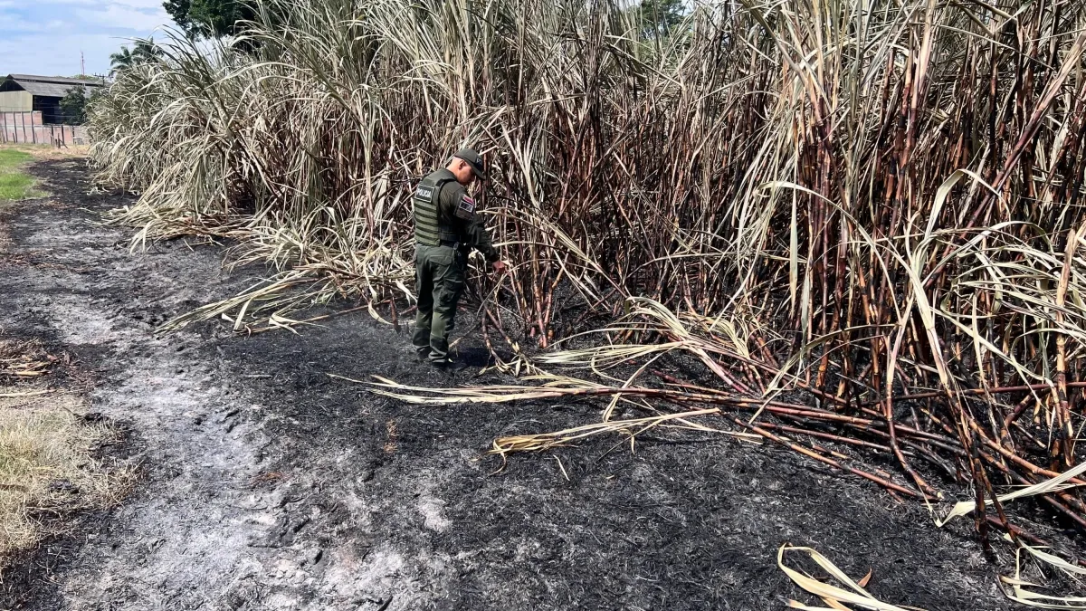 Sorprendido en flagrancia: cayó un presunto pirómano tras provocar un incendio en la zona urbana de Palmira