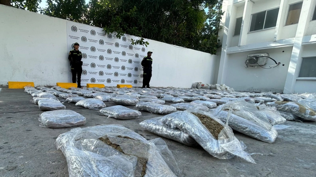 Golpe a las finanzas de Los Costeños en Barranquilla: Policía incauta 241 kilos de marihuana avaluados en $970 millones en el suroccidente