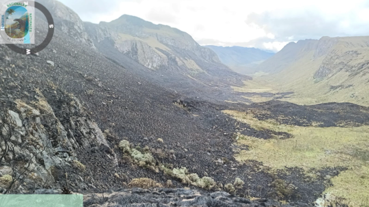 Así quedó el Parque Nacional Natural Los Nevados tras incendio forestal: fuego afectó vegetación de páramo y autoridades evalúan daños