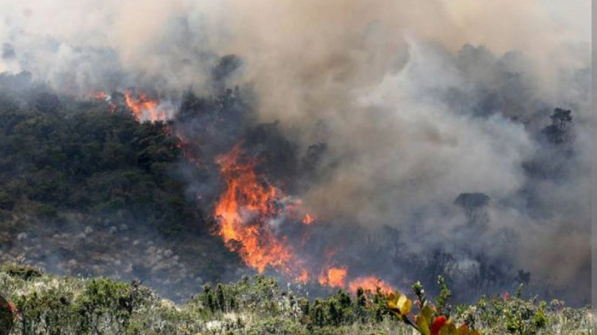 Iguaque, Los Nevados y Las Hermosas: dos Parques Nacionales y un Santuario de Fauna y Flora hoy arden por incendios forestales