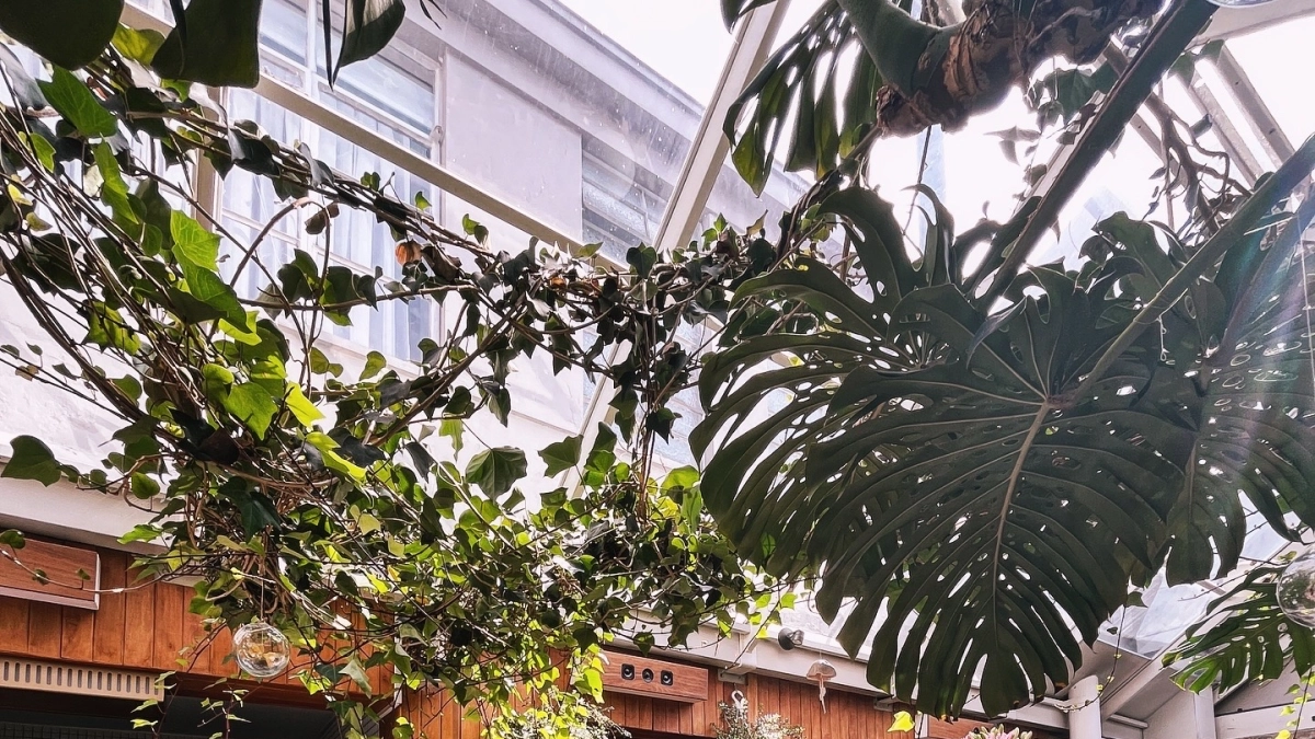 Casa Lélyté: la magia de un ragú inolvidable y otros atrevimientos culinarios en Chapinero, en Bogotá
