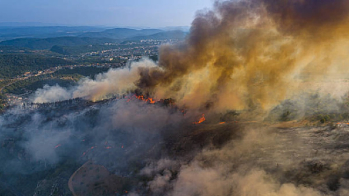 Incendio en páramo de Las Hermosas, en Valle, cumple 50 días y destruye 2.000 hectáreas: 'Si dejamos avanzar el fuego, se afectará suministro de agua'
