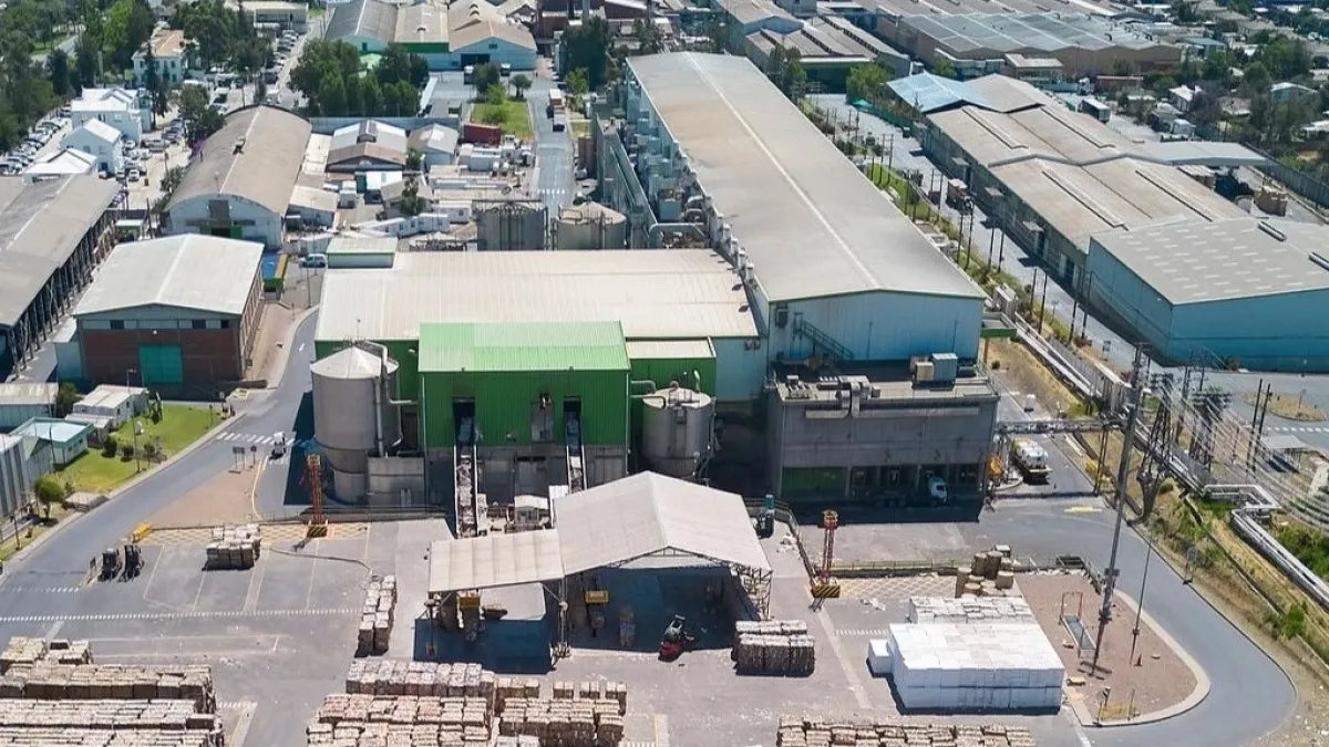 La jugada de US$ 420 millones con la que Smurfit Westrock ganará mayor músculo en Chile y la región